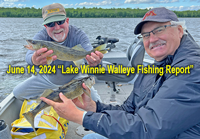 image links to walleye fishing report from Lake Winnie by bowen lodge