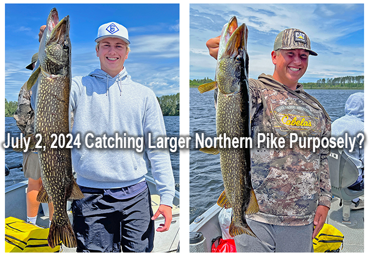 image links to fishing report about catching northern pike by Jeff Sundin