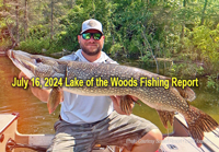 image links to fishing report from lake of the woods and the nortwest angle