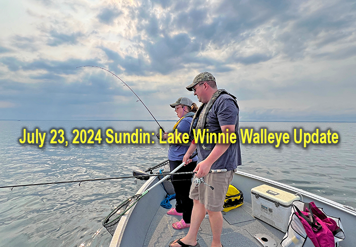 image links to Lake Winnie walleye upodate by Jeff Sundin