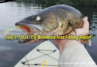 image links to fishing report from the ely mn region