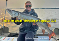 image of man with a huge walleye caught on lake of the woods charter fishing trip 