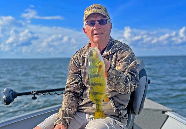 image of Erling Hommedahl with huge perch caught on Lake Winnibigoshish