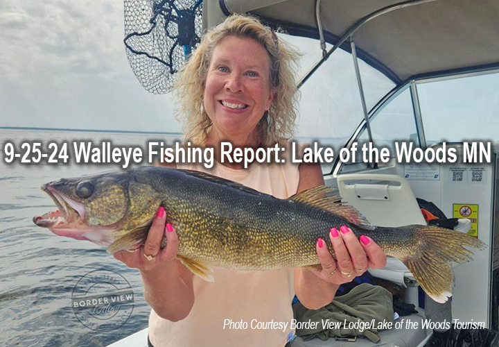 image links to walleye fishing report from Lake of the Woods