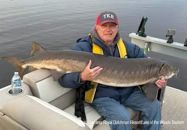 image of man holding big sturgeon caught on the rainy river