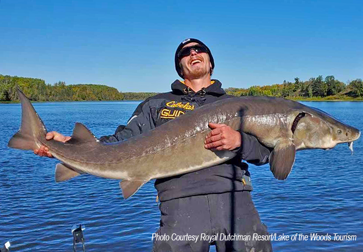 image of angler holding giant sturgeon he caught on the Rainy River