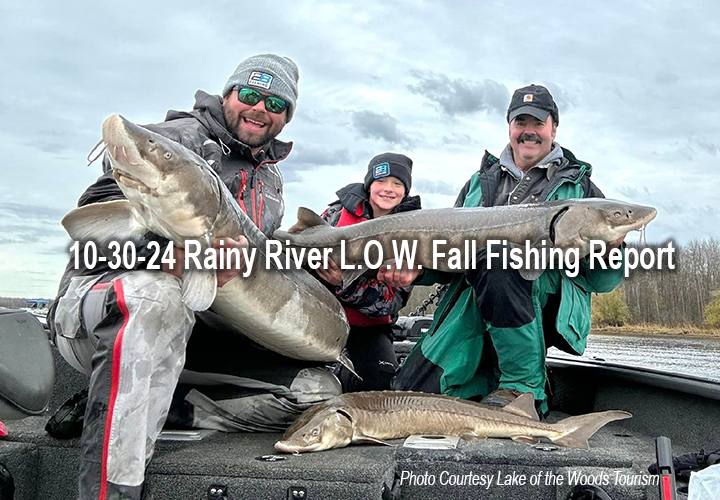 image links to fishing report from Lake of the Woods and the Rainy River