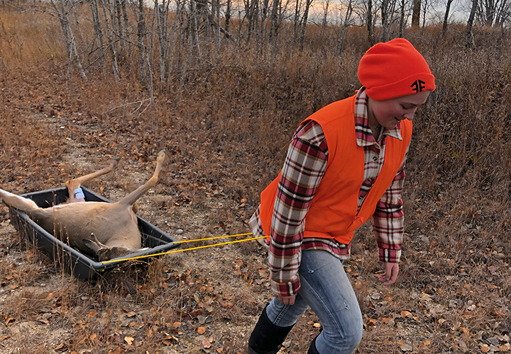 image of young lady dragging her deer out of the woods