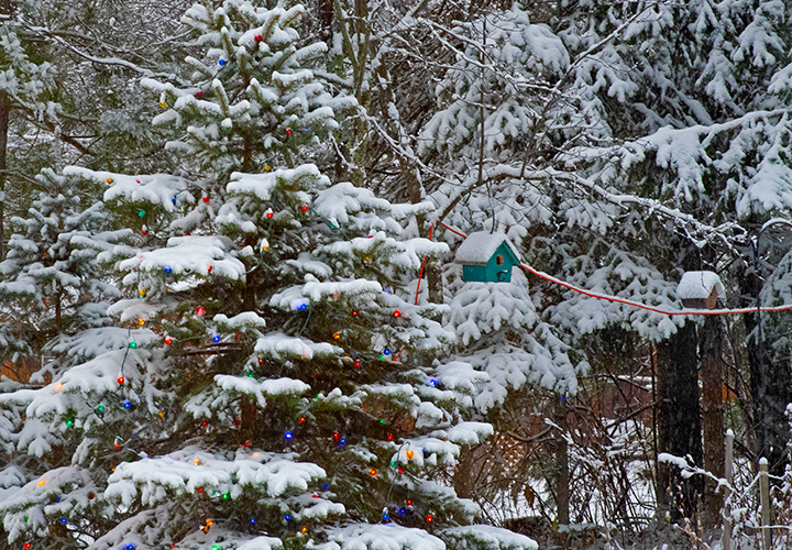 image of Jeff Sundin's Christmas TYree with the first snowfall of 2024 in Grand Rapids MN