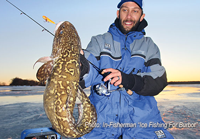 image links to ice fishing article about catching eelpout or burbot 