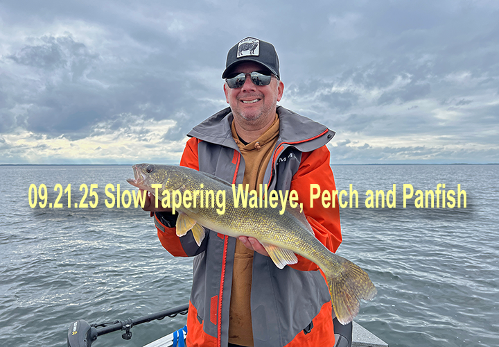 image links to walleye fishing report by Jeff Sundin 
