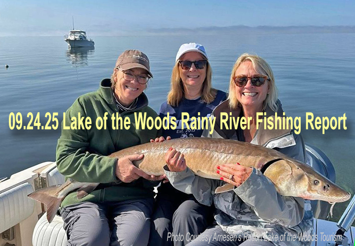 image links to fishing report from Lake of the Woods 