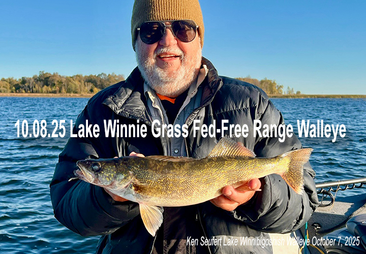 image links to fishing report from Lake Winnibigoshish by Jeff Sundin 