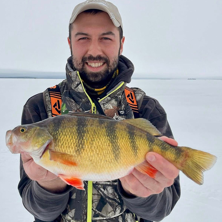 image of ice fisherman holding a huge jumbo perch he caught on Lake of the Woods 