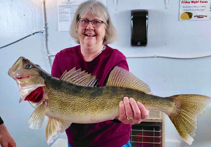 image of woman angler with huge walleye caught on Lake of the Woods 