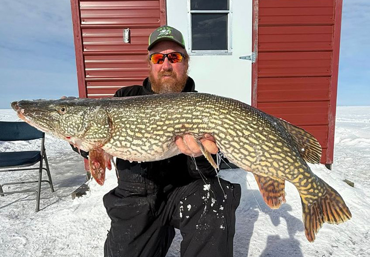 image of ice fisherman with huge northern pike caught on Lake of the woods