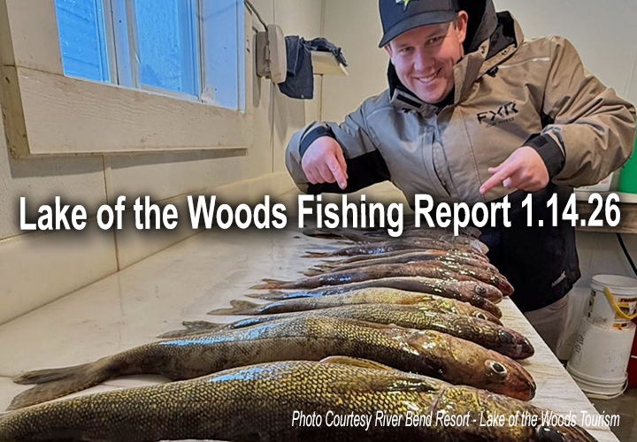 image links to ice fishing report from Lake of the Woods