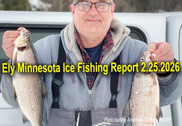 image of ice fisherman holding a nice pair of whitefish he caught in the Boundary Waters Canoe Area