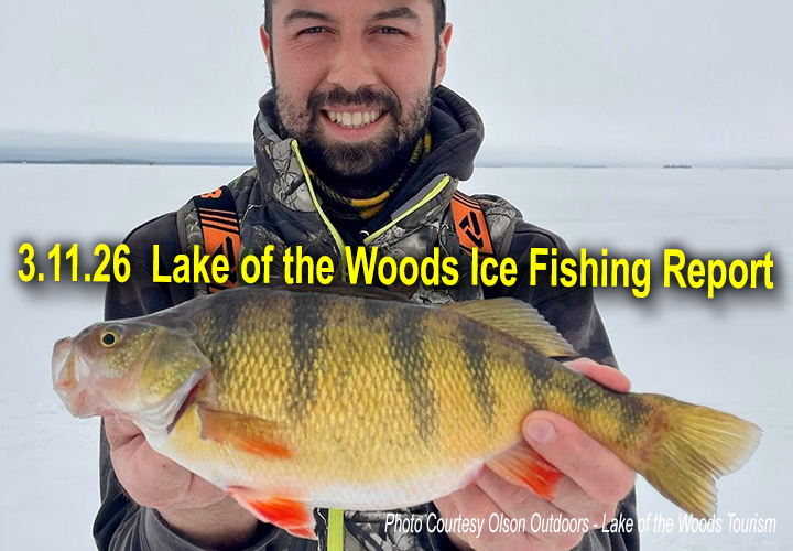 image links to lake of the woods ice fishing report