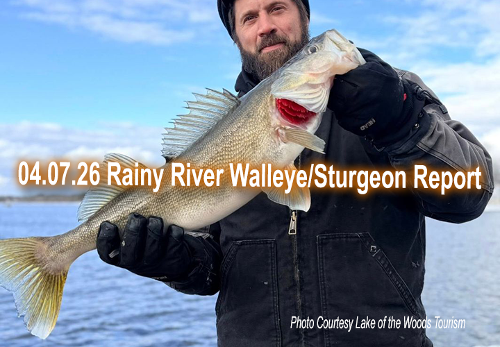 image links to fishing report from the Rainy River