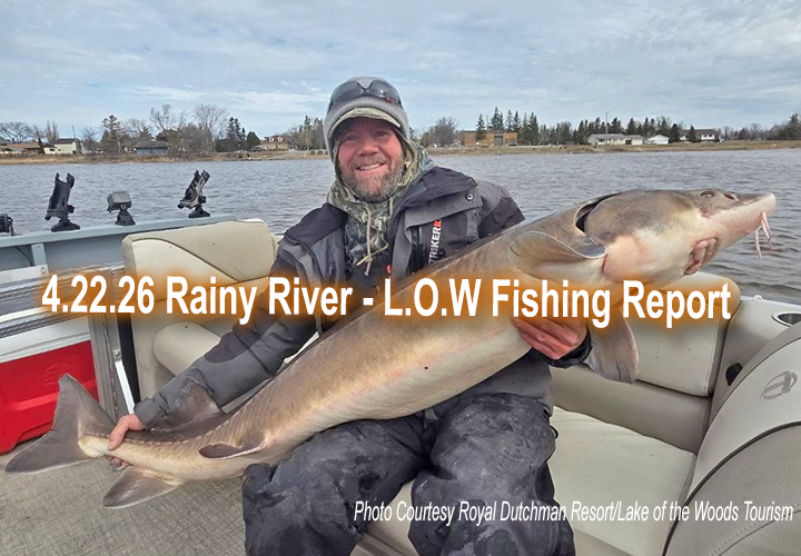 image links to fishing report from the Rainy River