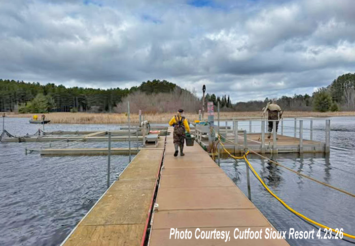 image links to fishing article about the Minnesota DNR walleye egg take at Cutfoot Sioux