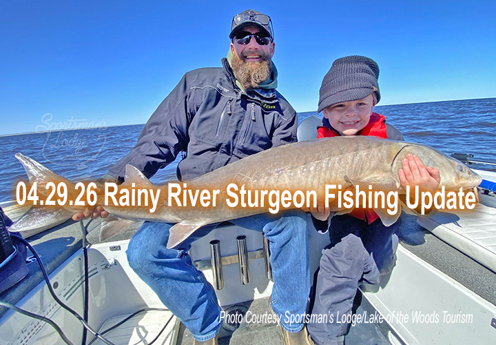 image links to sturgeon fishing report from the Rainy River