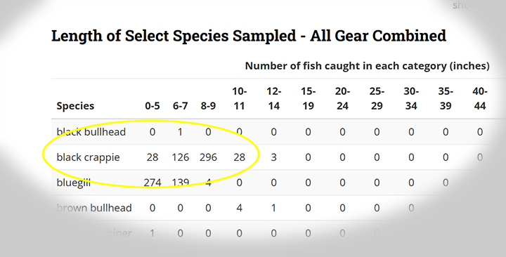 image of crappie population assessment