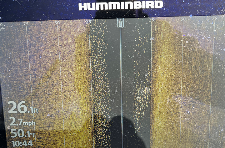 image of Humminbird side image of huge crappie school 