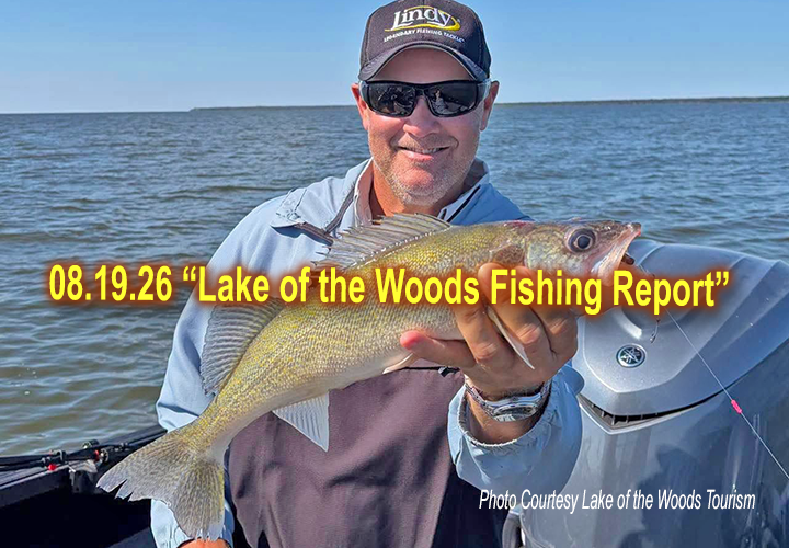 image links to fishing report from Lake of the Woods