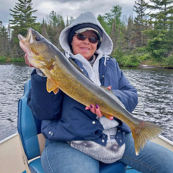 image of woman holding a large walleye she caught on Basswood Lake near Ely Minnesota