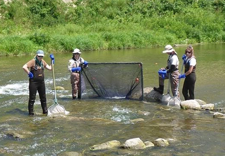 image of Minnesota DNR paid interns in the field